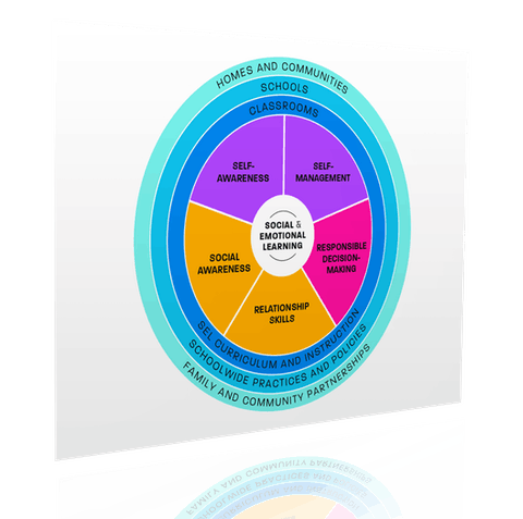 Framework wheel of CASEL SEL framework core competencies